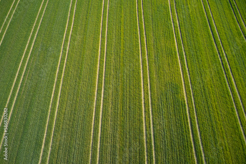 Stripes on a green background top view. Stripes on green field aerial view