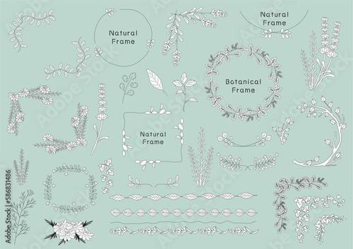線画植物のセット素材