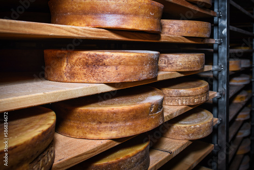 Moulds of very mature mountain cheese