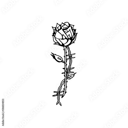 vector illustration of a rose with barbed wire