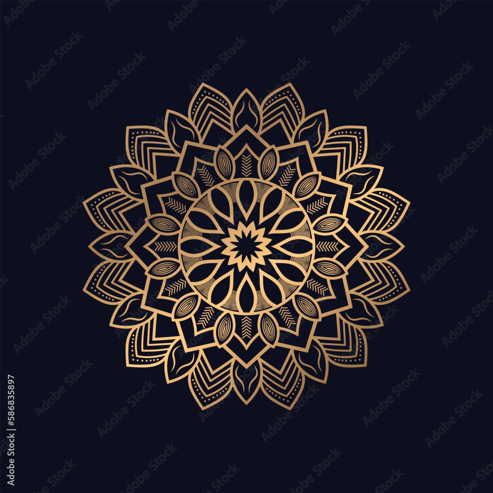 Decorative ethnic mandala pattern background design vector Decorative ethnic mandala pattern background design vector