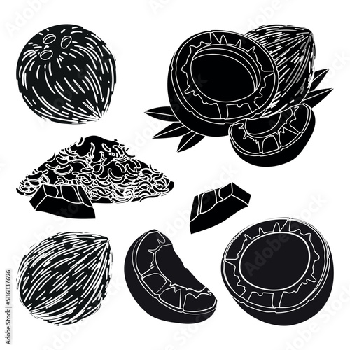Coconut whole and halved, and a piece, set and coconut milk and sugar. Cartoon coconut icon.