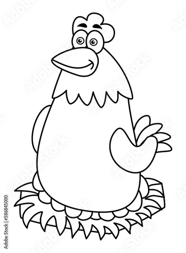 A laying hen incubating eggs on a white background for coloring