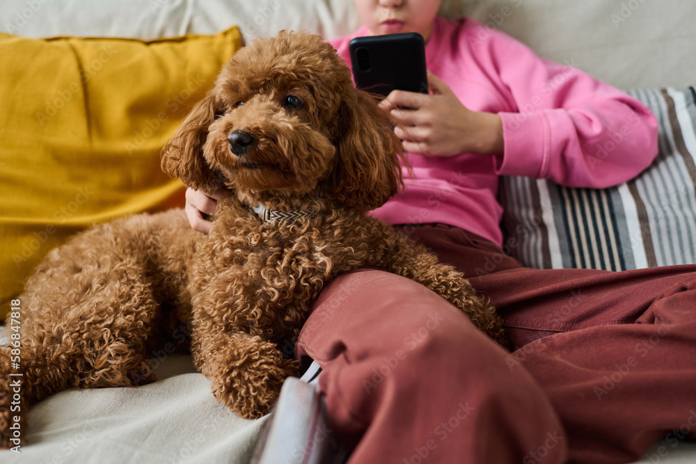 Close-up of little girl using smartphone while resting on sofa with her dog Close-up of little girl using smartphone while resting on sofa with her dog