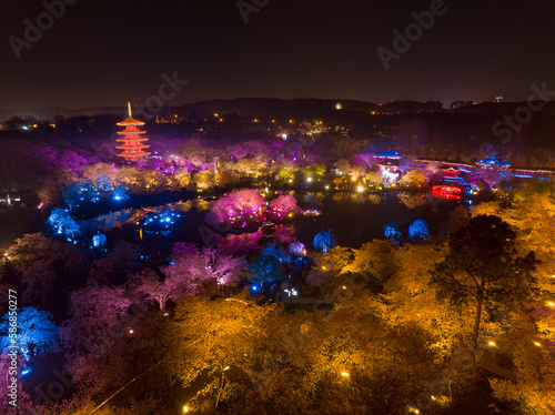 Wuhan East Lake Mushan Cherry Blossom Garden Night scenery photo