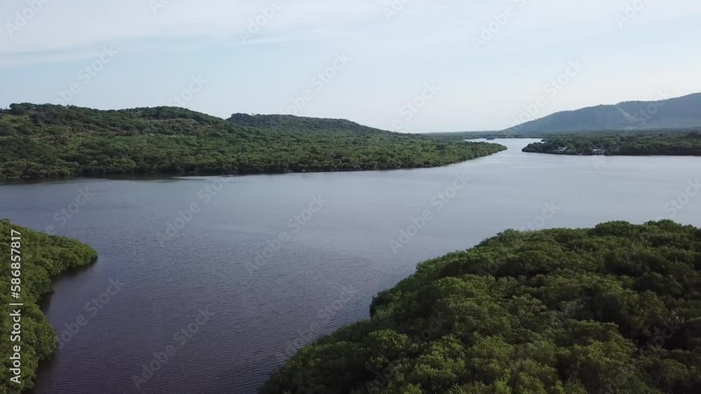 Backward flight from lagoon to mangrove canopy and jungle. Backward flight from lagoon to mangrove canopy and jungle.