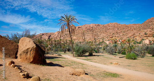 Tafraoute landscape with rock formation and palm tree- Morocco
