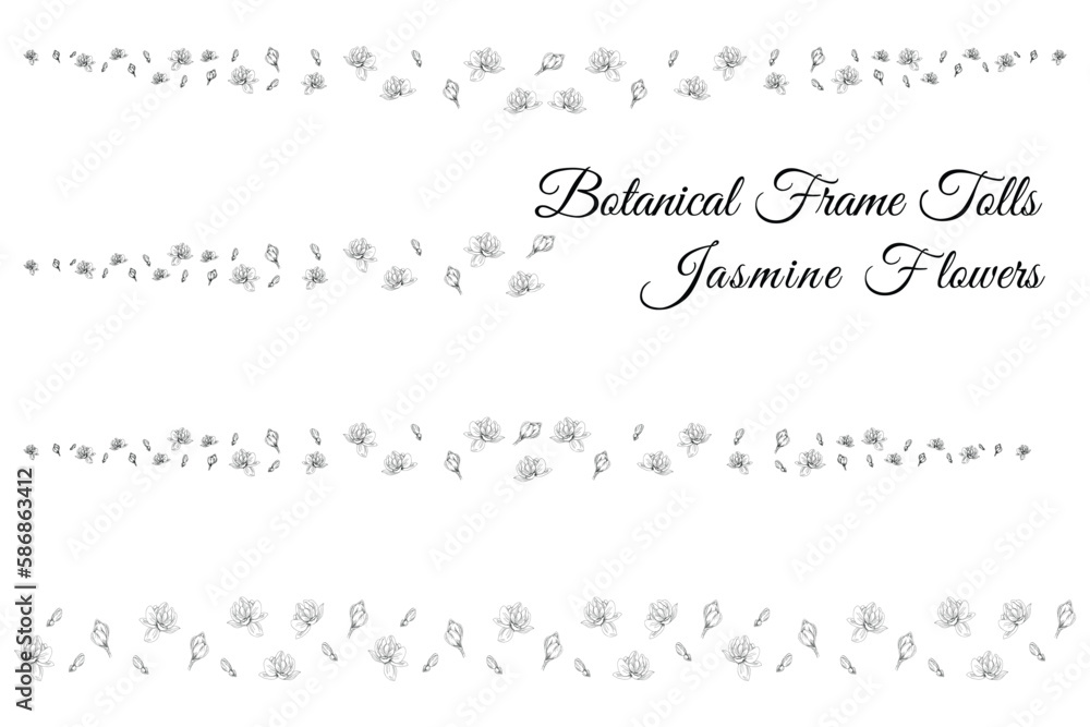 jasmine line flow of flower petals flowers.
frame and with background vector illustration.