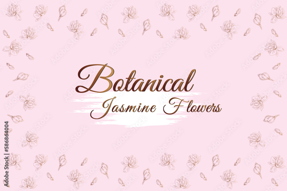jasmine line flowers.
frame and pink background vector illustration.