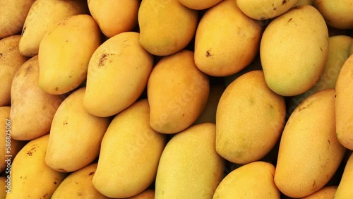 mangoes in a raw at fruit market