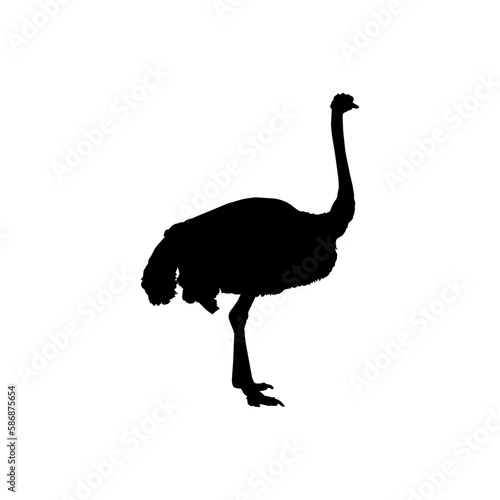 Ostrich Isolated Silhouette for Logo, Pictogram, Art Illustration or Graphic Design Element. Vector Illustration