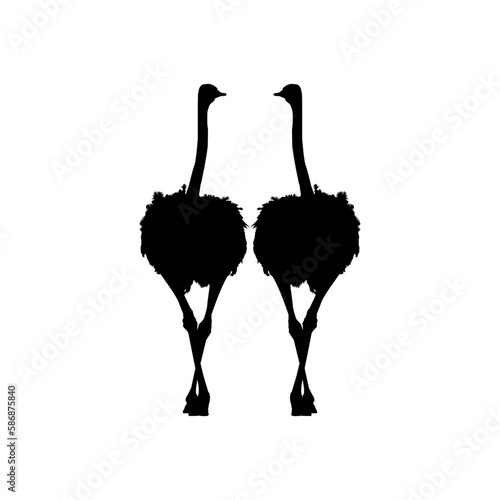 Pair of the Ostrich Silhouette for Logo, Pictogram, Art Illustration or Graphic Design Element. Vector Illustration