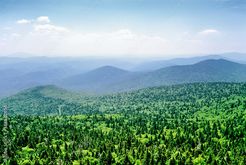 Mountain range conifer forests seen from top of Killington Mountain, Vermont, New England, USA