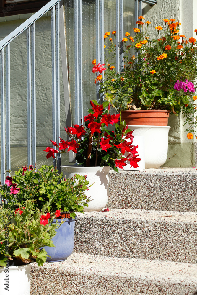 Naklejka premium Treppenstufen mit Blumenkübeln, Deutschland