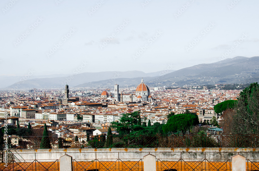 Full panorama of old Florence, stock photo
