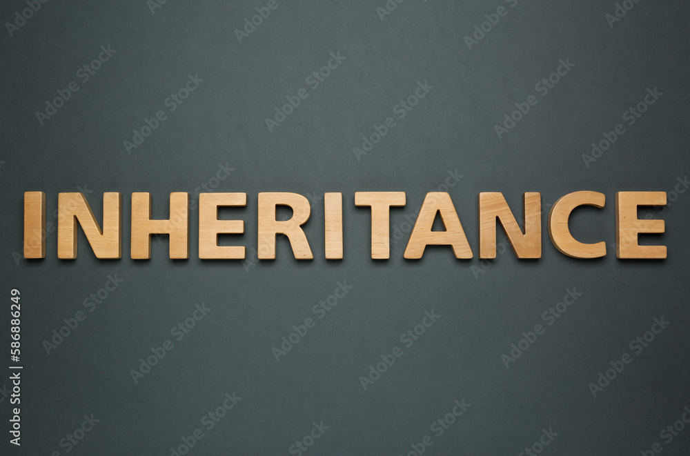 Obraz premium Word Inheritance made with wooden letters on black background, flat lay