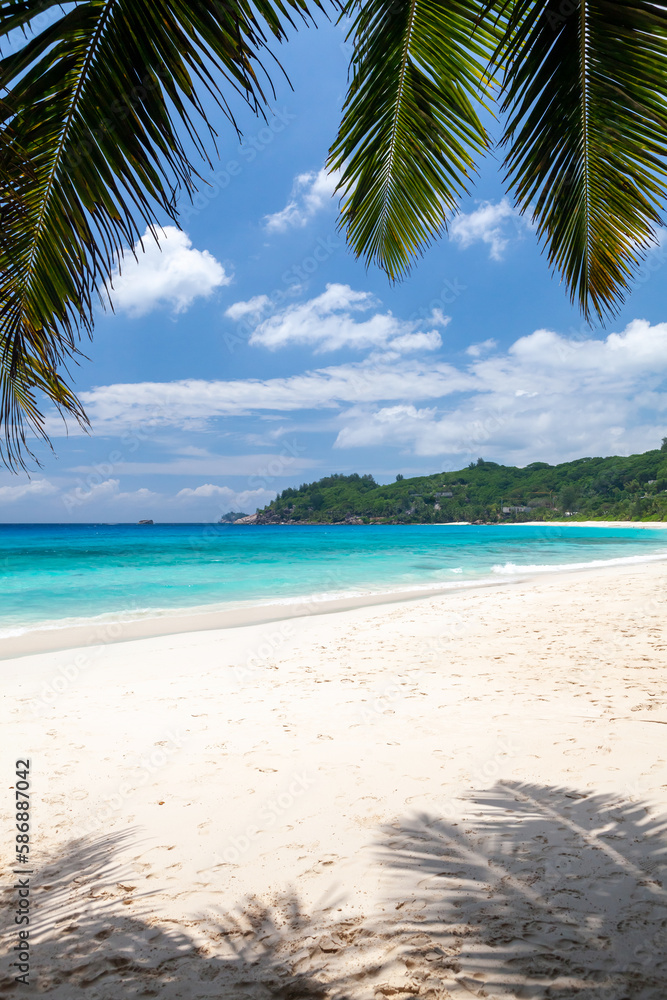 Fototapeta premium Tropical beach with palm trees