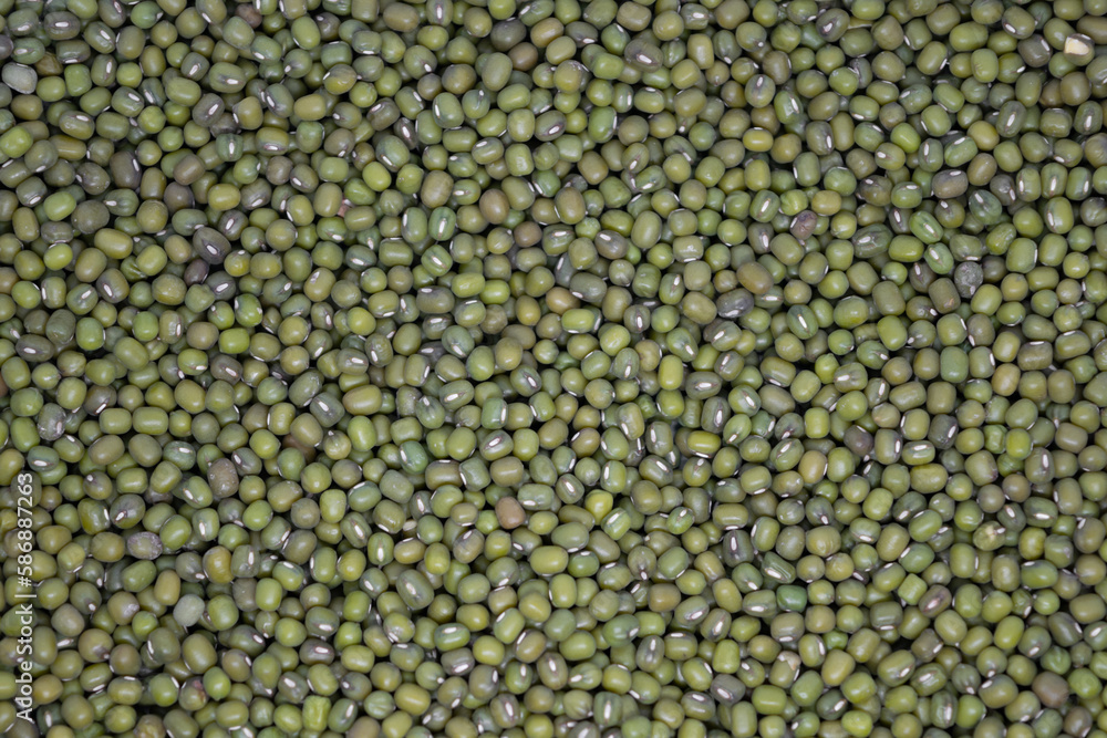 mung bean closeup mung bean closeup