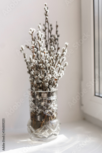 Willow catkins in vase on the window, toned