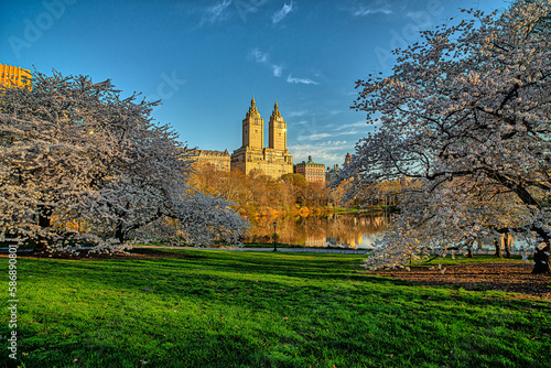 Central Park in spring © John Anderson