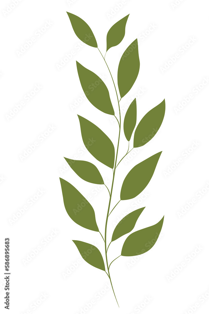 green dry leaf vector png on white transparent background, Vector illustration 02 green dry leaf vector png on white transparent background, Vector illustration 02