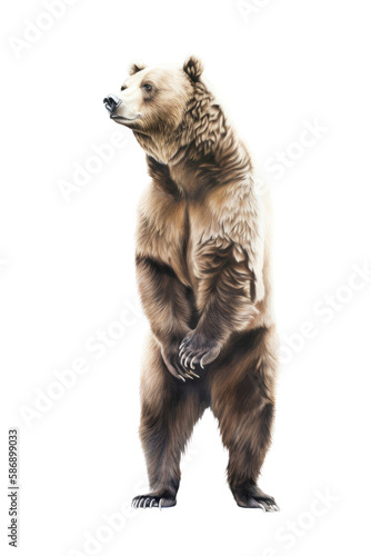 an isolated grizzly bear standing up on hind legs, front-view portrait, North American, photorealistic illustration on a transparent background in PNG. Ursus arctos horribilis. Generative AI © Purple Penguin GFX