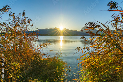 Sonnenaufgang im Herbst am Hopfensee im Allgäu