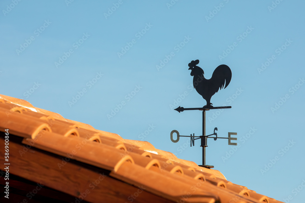 Weathercock - Rooftop Weather Vane for Outdoor Decoration and Weather Tracking - obrazy, fototapety, plakaty 