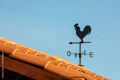 Weathercock - Rooftop Weather Vane for Outdoor Decoration and Weather Tracking photo