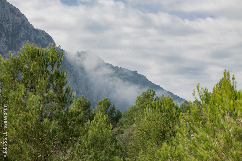 Nubes bajas tocando el Benicadell con pinos en primer plano