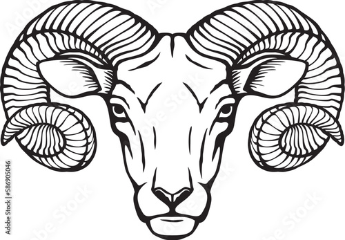 Ram Head Black and White. Vector Illustration.
