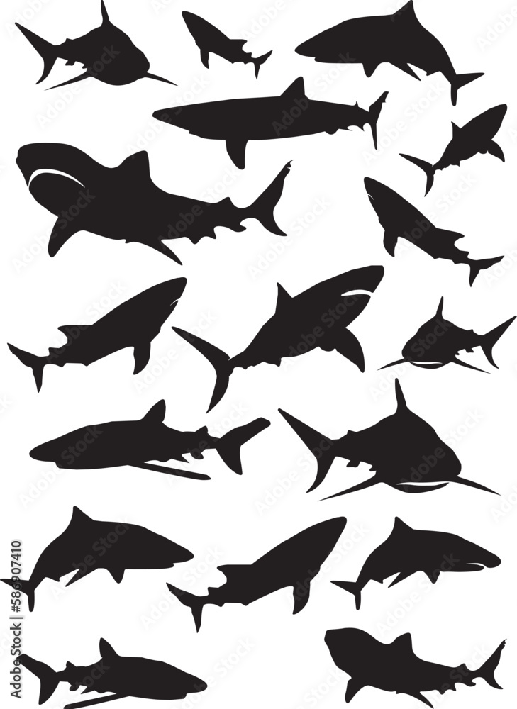 ryba, sylwetka, plik wektorowy, morski, zwierzak, ptactwo, ilustracja, rekin, charakter, delfin, ptactwo, dzika natura, oceanu, czarna, set, flying, kolekcja, zwierzak, akwarium, woda, orka, deseń, gr ryba, sylwetka, plik wektorowy, morski, zwierzak, ptactwo, ilustracja, rekin, charakter, delfin, ptactwo, dzika natura, oceanu, czarna, set, flying, kolekcja, zwierzak, akwarium, woda, orka, deseń, gr