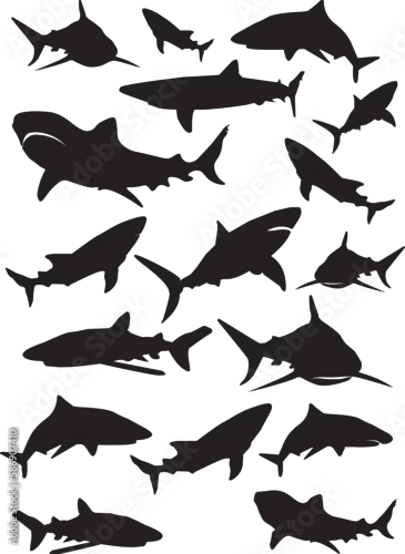 Obraz ryba, sylwetka, plik wektorowy, morski, zwierzak, ptactwo, ilustracja, rekin, charakter, delfin, ptactwo, dzika natura, oceanu, czarna, set, flying, kolekcja, zwierzak, akwarium, woda, orka, deseń, gr