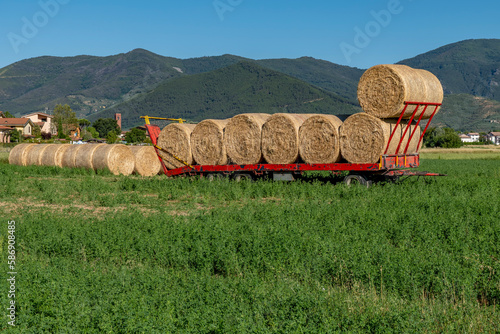 Bales of hay are lined up on a trailer in the Tuscan countryside near Bientina, Italy, waiting to be hauled away photo