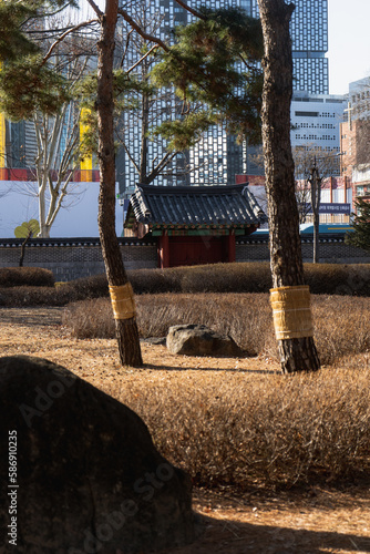 Photography Tapgol Park include Pagoda of Wongaksa Temple Site and Palgakjeong Pavilion duri