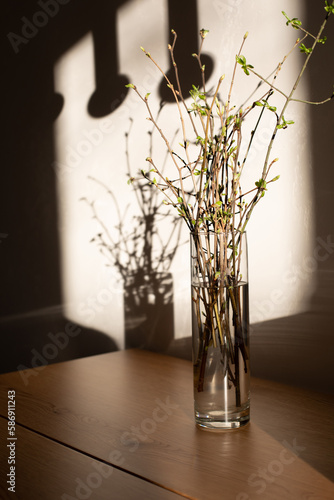 Tree branches with young green leaves in a transparent vase with shadows on a wooden table. Front view