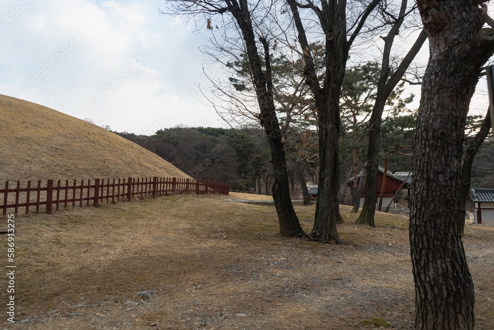 Seolleung and jeongneung royal tombs from the Joseon dynasty during winter morning at Gangnam , Seoul South Korea : 4 February 2023 Seolleung and jeongneung royal tombs from the Joseon dynasty during winter morning at Gangnam , Seoul South Korea : 4 February 2023