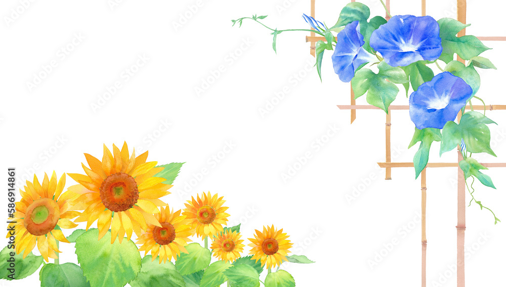 Fototapeta premium 青色アサガオと竹の格子の水彩イラスト。夏の和風のフレームデザイン。