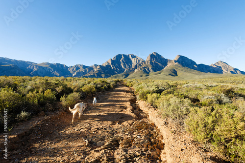 A view over hills towards high mountains in the distance, near Worcester, South Africa.