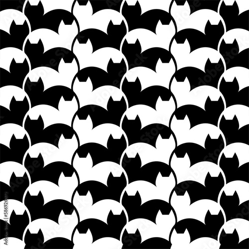 Gatti bianco e nero pattern