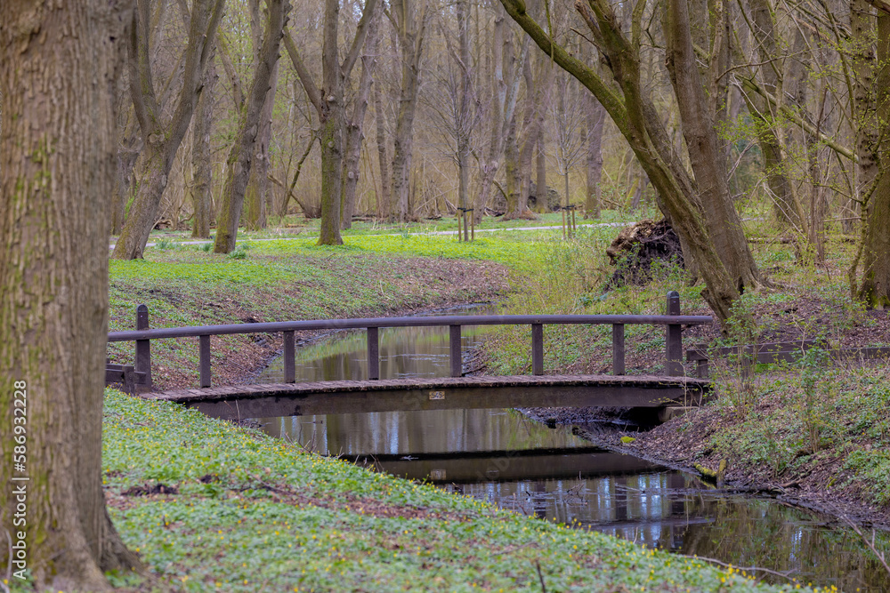 Early spring Landscape with bare tree trunks and green grass, Selective focus of wooden bridge crossing canal, Amsterdamse Bos (Forest) Park in the municipalities of Amstelveen, Amsterdam, Netherlands Early spring Landscape with bare tree trunks and green grass, Selective focus of wooden bridge crossing canal, Amsterdamse Bos (Forest) Park in the municipalities of Amstelveen, Amsterdam, Netherlands