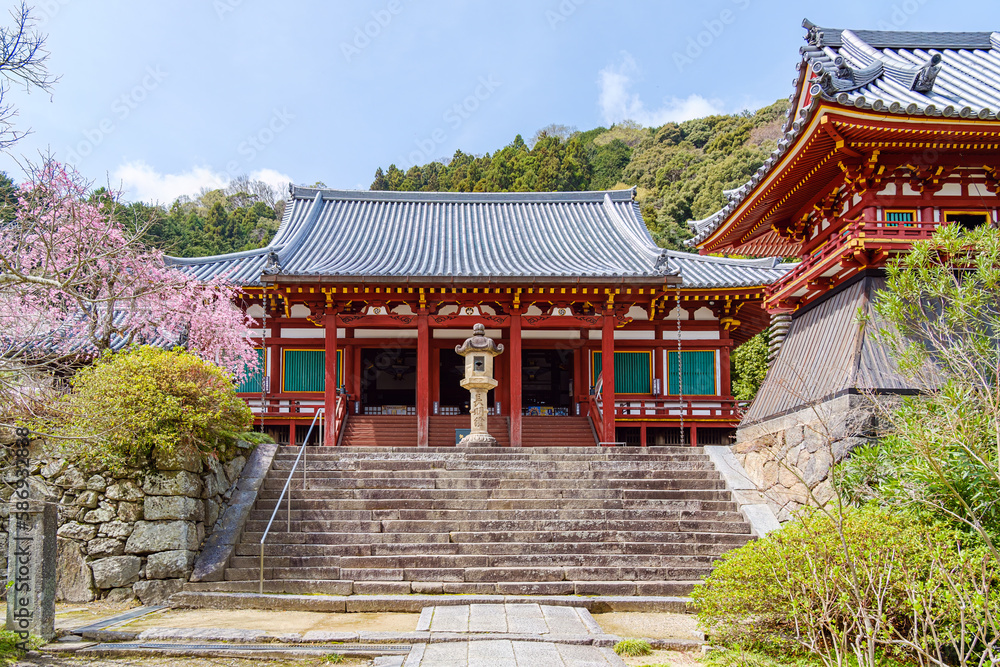 【奈良県】大和郡山市 矢田寺(金剛山寺) (2023/03/27撮影) 【奈良県】大和郡山市 矢田寺(金剛山寺) (2023/03/27撮影)