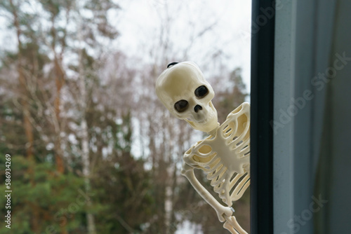 Photography of a skeleton peeps in your window. Cold  futuristic day. Agressive smiling scares everybody. Halloween concept. Close up photography