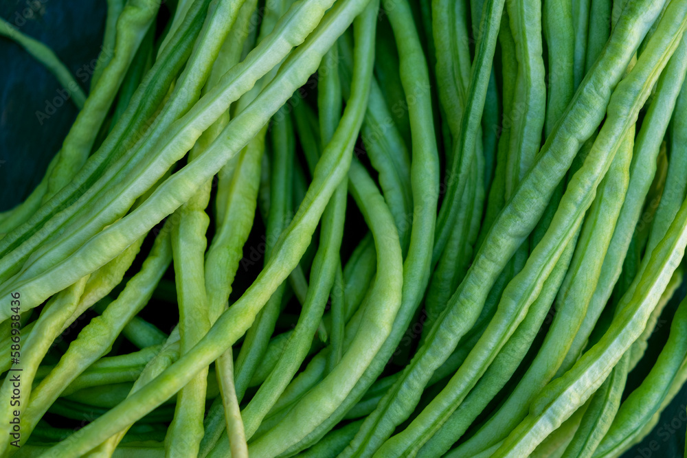 Asparagus green beans. cowpea. Natural eco friendly vegetarian food. Natural protein. Diet Asparagus green beans. cowpea. Natural eco friendly vegetarian food. Natural protein. Diet