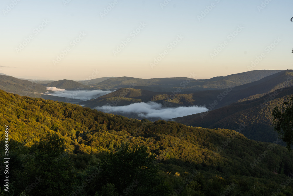 Mountains in clouds at sunrise in summer. mountain with green trees in fog. Beautiful landscape with high rocks, forest, sky. mountain in clouds