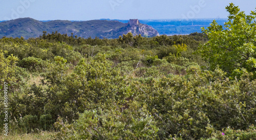 Photos Wild landscape of the Alpilles with a nature totally covered with scrubland, and