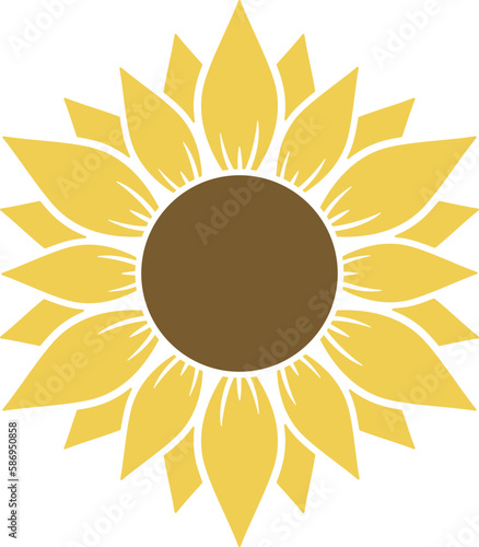 Sunflowers isolated on white background