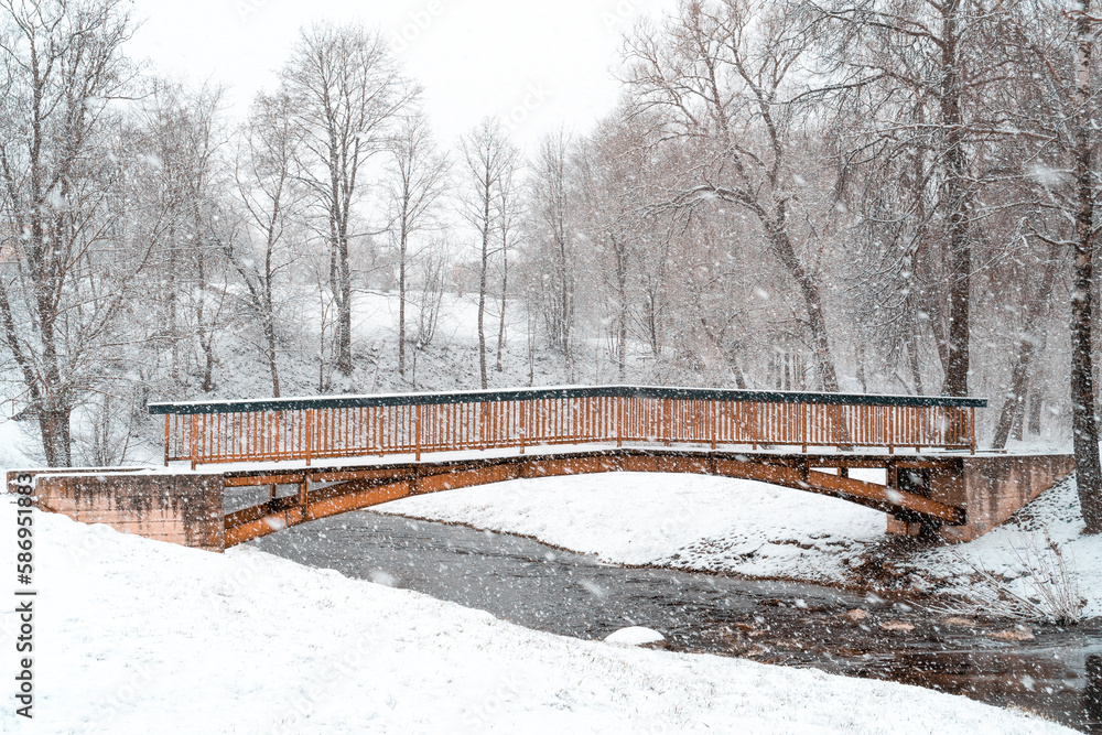 Fototapeta premium Small bridge over a river in winter snowy park