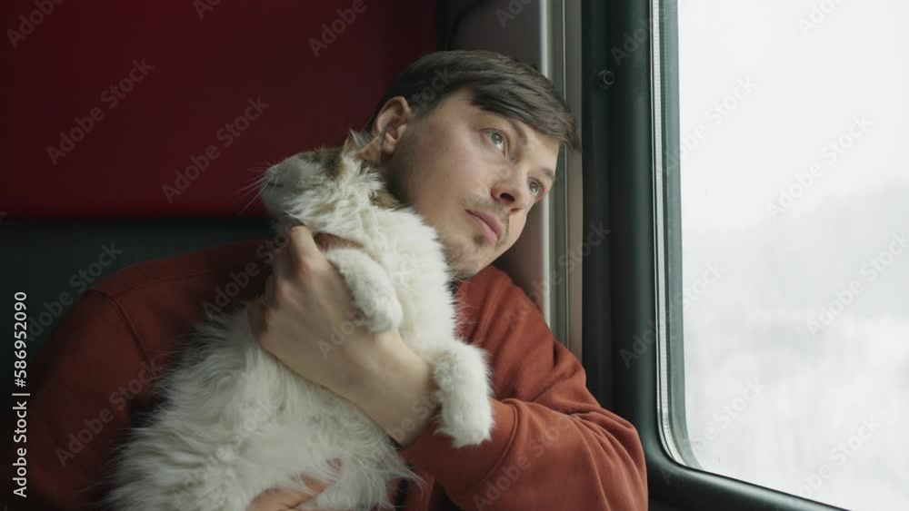 Man with a white cat rides in a compartment train and looks out the window Man with a white cat rides in a compartment train and looks out the window