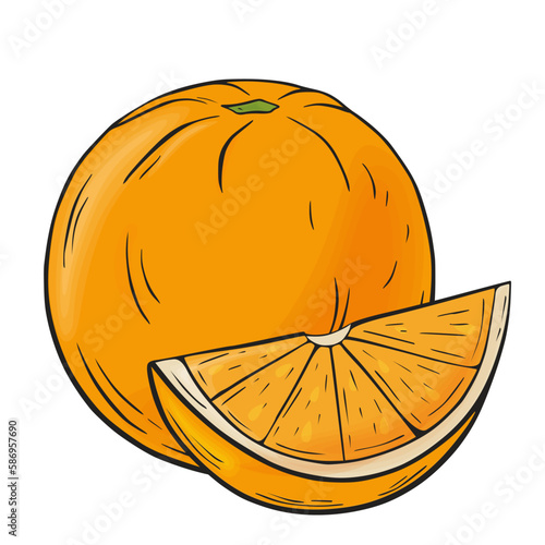 Juicy orange and slice. Linear drawing in ink and color fill on a white isolated background. Vector hand drawn illustration for logo or emblem